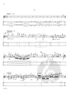 Konzert e-Moll op. 85 von Edward Elgar 