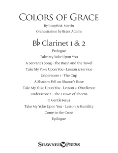 Colors of Grace (New Edition) von Joseph M. Martin (Download) 