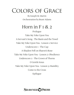Colors of Grace (New Edition) von Joseph M. Martin (Download) 