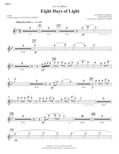 Eight Days of Lights von Judith Clurman (Download) 