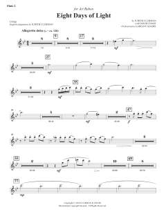 Eight Days of Lights von Judith Clurman (Download) 