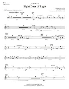 Eight Days of Lights von Judith Clurman (Download) 