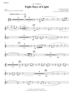 Eight Days of Lights von Judith Clurman (Download) 