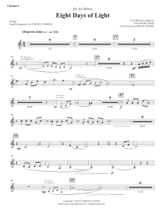 Eight Days of Lights von Judith Clurman (Download) 