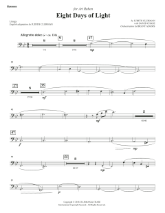 Eight Days of Lights von Judith Clurman (Download) 