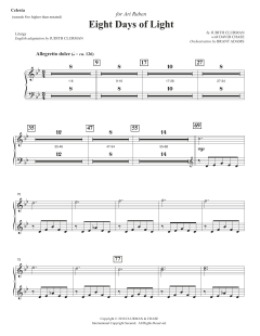 Eight Days of Lights von Judith Clurman (Download) 