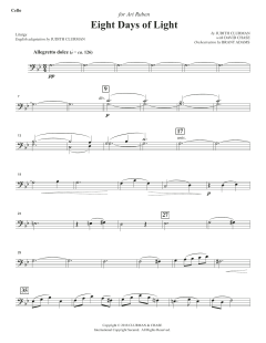 Eight Days of Lights von Judith Clurman (Download) 