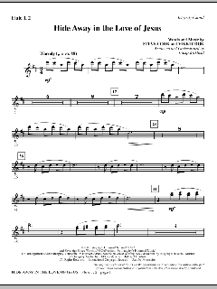 Hide Away In The Love Of Jesus von Steve Cook (Download) 