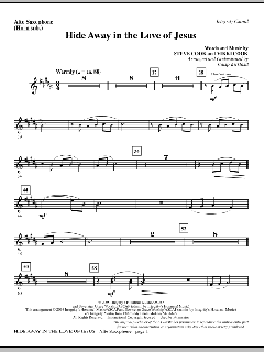 Hide Away In The Love Of Jesus von Steve Cook (Download) 
