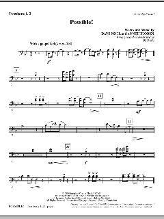 Possible! von Annette Oden (Download) 