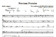 Precious Promise (Download) 