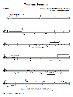 Precious Promise (Download) 