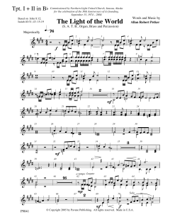 The Light Of The World von Allan Robert Petker (Download) 