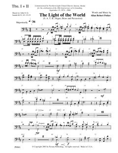 The Light Of The World von Allan Robert Petker (Download) 