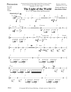 The Light Of The World von Allan Robert Petker (Download) 