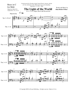 The Light Of The World von Allan Robert Petker (Download) 