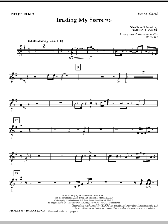 Trading My Sorrows von Darrell Evans (Download) 
