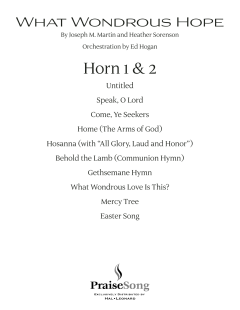 What Wondrous Hope von Heather Sorenson (Download) 