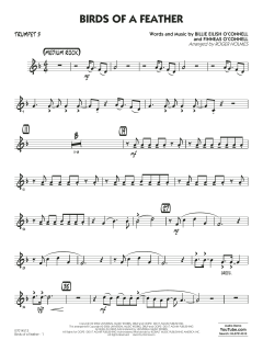 Birds of a Feather von Billie Eilish (Download) 