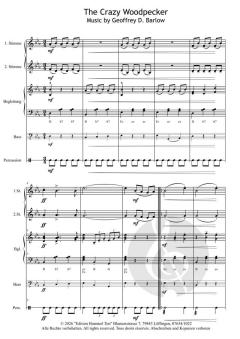 Streetlife live! The Crazy Woodpecker von Geoffrey D. Barlow 