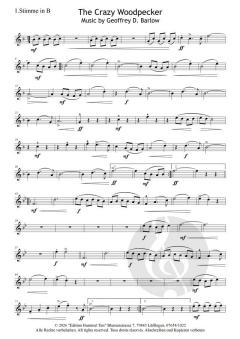 Streetlife live! The Crazy Woodpecker von Geoffrey D. Barlow 