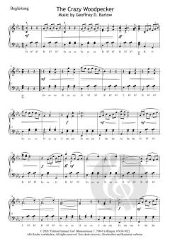 Streetlife live! The Crazy Woodpecker von Geoffrey D. Barlow 