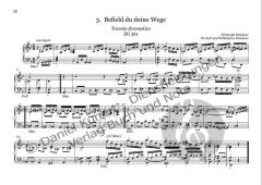 curioso et furioso von Christoph Brückner 