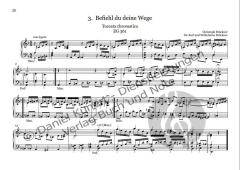 curioso et furioso von Christoph Brückner 