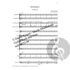 Herbstfarben - SET von Christian Glowatzki 