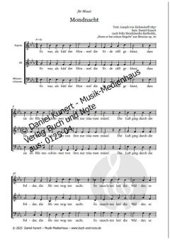 Mondnacht von Daniel Kunert 