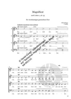 Serbski Magnificat - Sorbisches Magnificat von Felix Bräuer 