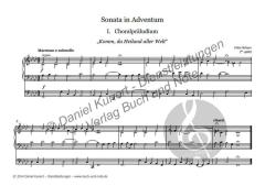 Sonaten für Orgel von Felix Bräuer 