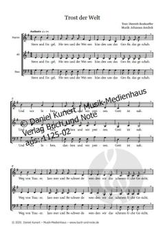 Trost der Welt von Johannes Jendrek 