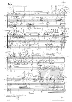 flow für Violine, Flöte (Altflöte in G) und Violoncello (2005) von Charlotte Seither (Download) 