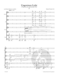 Ungewisses Licht von Manfred Trojahn (Download) 