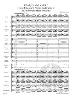 Aus Böhmens Hain und Flur von Bedrich Smetana (Download) 