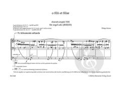 Choralvorspiel 13 von Philipp Maintz (Download) 