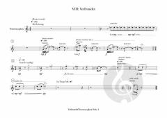Magic Mushrooms op.77 von Arthur Dangel 