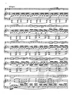 Andante and Allegro von Joseph Guy Ropartz 