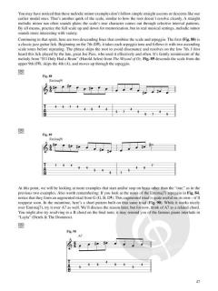 Jazz-Rock Guitar Improvisation von Alex Skolnick 