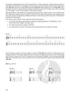Jazz-Rock Guitar Improvisation von Alex Skolnick 