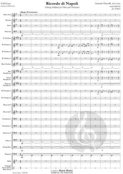 Ricordo di Napoli von Antonio Pasculli (Download) 