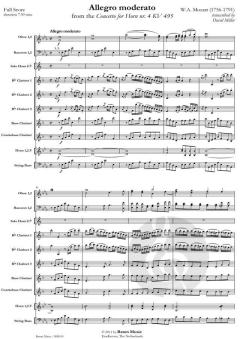 Allegro Moderato von Wolfgang Amadeus Mozart (Download) 