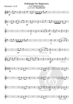 Polkalogie for Beginners von Gottfried Hummel 
