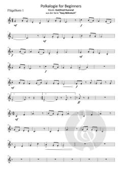 Polkalogie for Beginners von Gottfried Hummel 