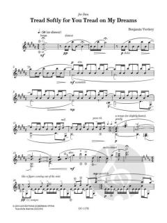 Tread Softly For You Tread On My Dreams von Benjamin Verdery 