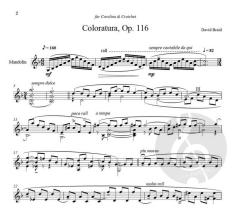 Coloratura von David Braid 