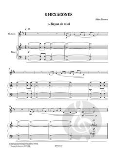6 Hexagones von Alain Perron 