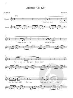 Second Book Of Mandolin Songs von David Braid 