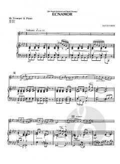 Ecnamor (Romance) von David Uber 